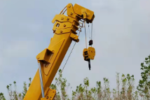 1733974081376616.png image.png