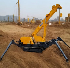 冬季蜘蛛吊如何進行保養(yǎng)？