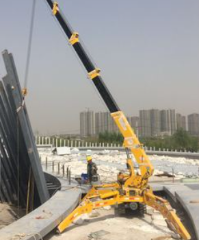 蜘蛛吊為什么那么小巧?